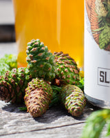 Samka ● IPA with Pine, Juniper & Walnut Leaves